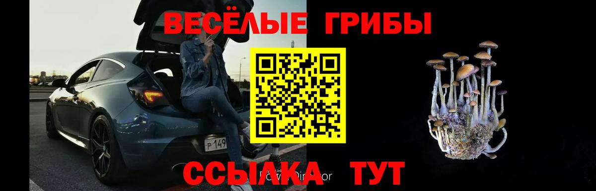 Псилоцибиновые грибы Psilocybine cubensis  Вход с VPN  Минусинск  Галлюциногенные грибы ЛСД 
