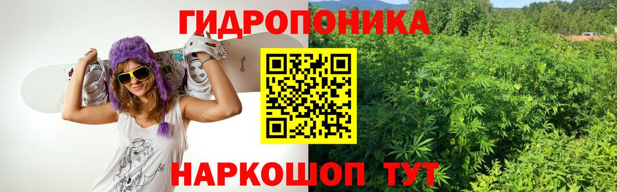 Шишки марихуана семена  Вход с VPN  Бошки Шишки ГИДРОПОН  Канабис тримм  Марихуана гибрид  Минусинск 